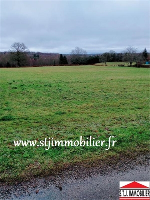 terrain à la vente -   16420  BRIGUEUIL, surface 5220 m2 vente terrain - UBI445371035